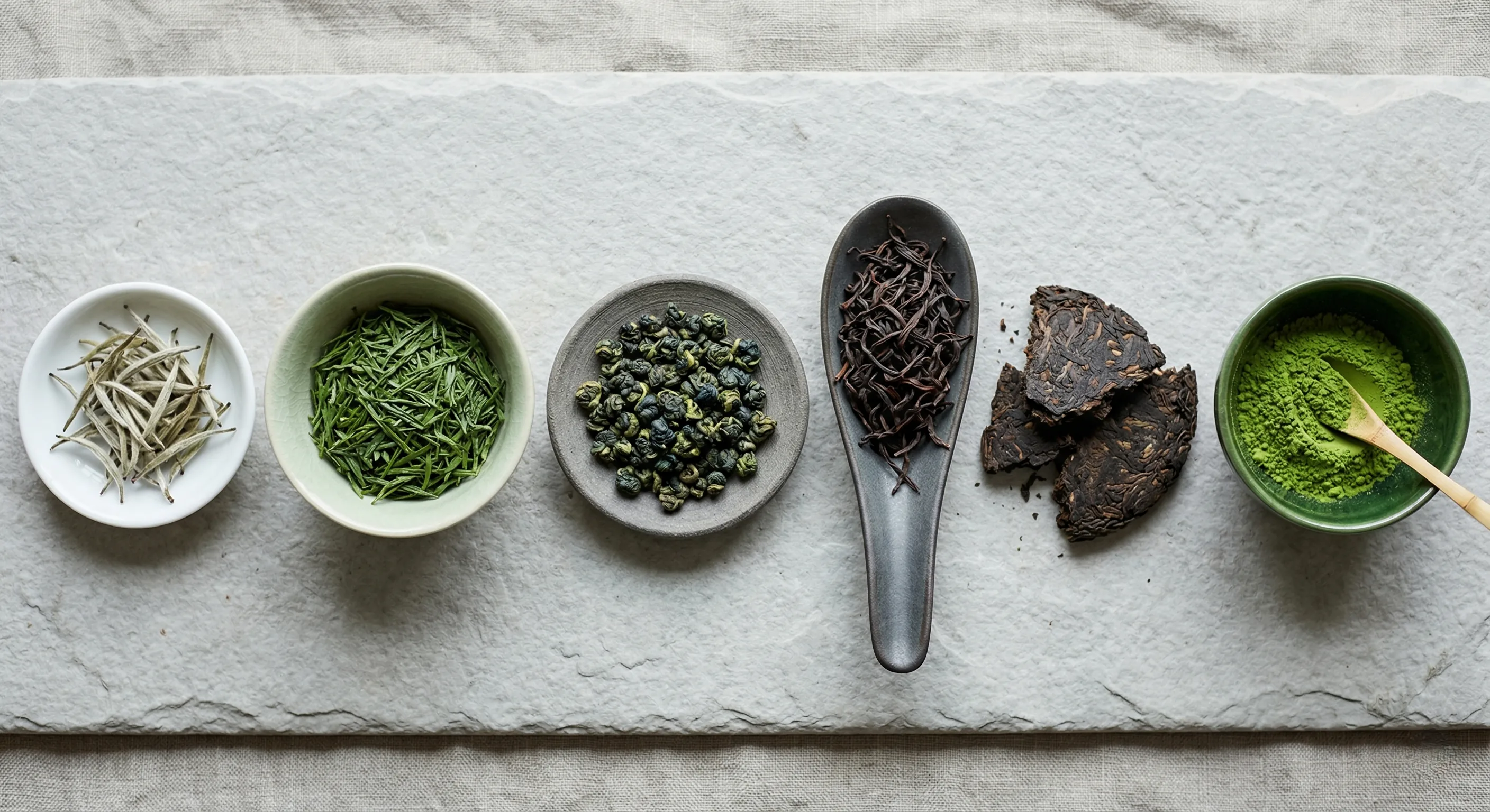 Several true tea families displayed in containers with matcha, green leaves, oolong, black tea, and dark tea