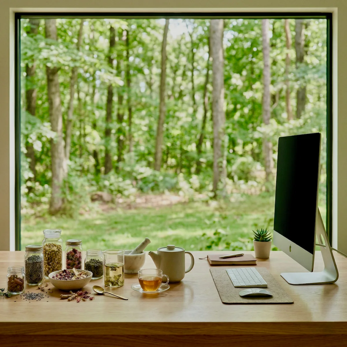 Premium editorial hero image representing the Nature Chá universe